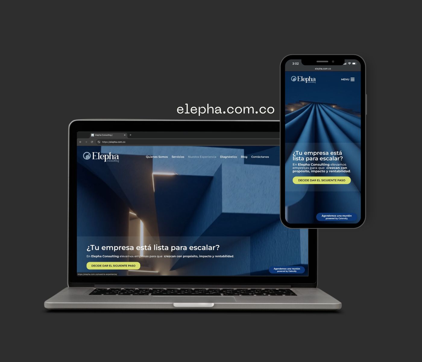Elepha Consulting